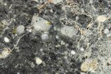 Polished Lunar Meteorite Slice ( g) - Bechar #266499-1